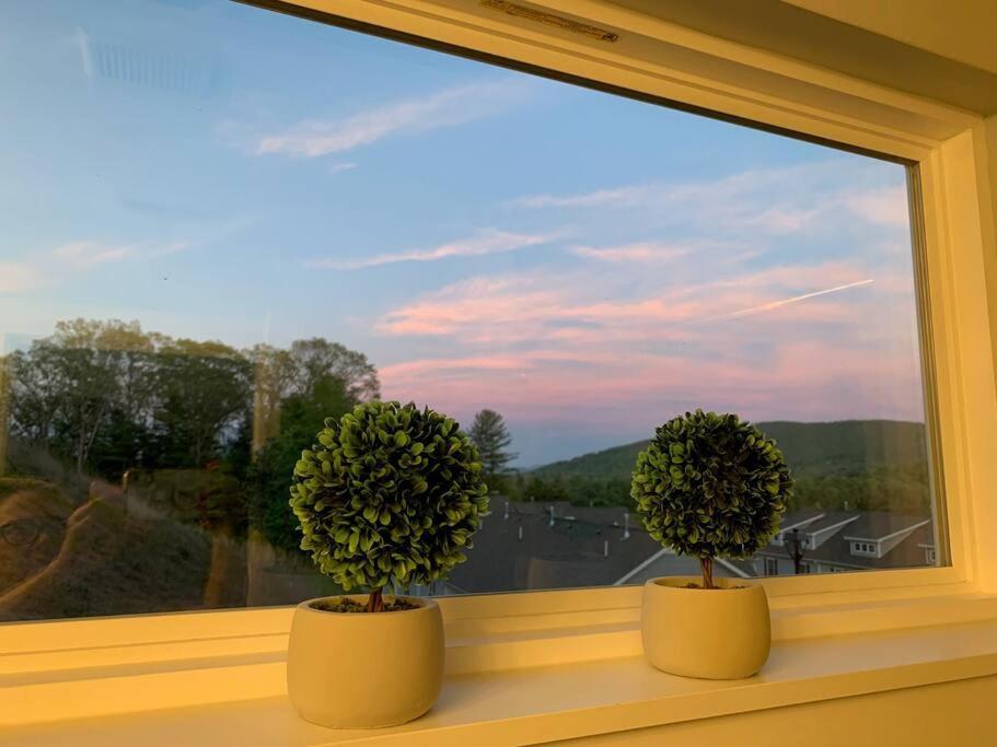 Newly Built Townhome Close To The Asheville Sites Candler Luaran gambar